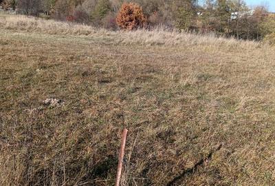 Teren langa Padure Dragomirna 40 Ari ISuceava/Dragomirna I 60.000Euro - 7