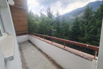 Complex turistic de vanzare  - Zona Poiana Tapului - 26