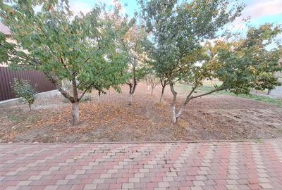 Casa P+1+M, 6 camere, garaj, beci, Nicolae Balcescu - 42