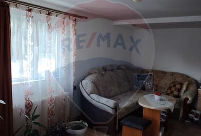 Case cu 7 camere de vânzare în comuna Panaci, sat Drăgoiasa. - 13