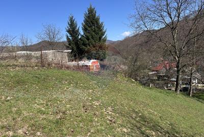 Teren 1,106mp Baia Mare / Strada Firiza - 10