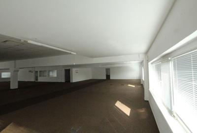 Spatii birouri/servicii - 58