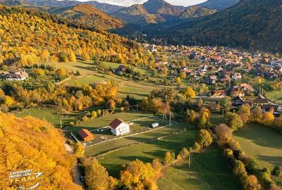 FILM! Vila intr-un peisaj mirific, cu 2.900mp teren, Covasna - 5