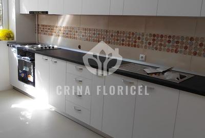 Inchiriere duplex cu gradina 60 mp - renovat - prima inchiriere - Herastrau - 16