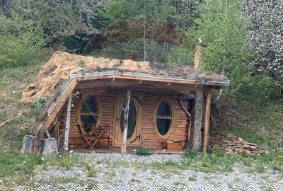 Proprietate eco-turistică de vânzare – 62.330 mp, Horea, Alba - 43