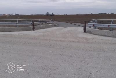 Teren 56.300 mp Bolintin Deal - Parc Industrial / Logistic - 4