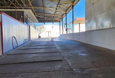 Hale depozit-productie industriala la 20 km de TM - 17