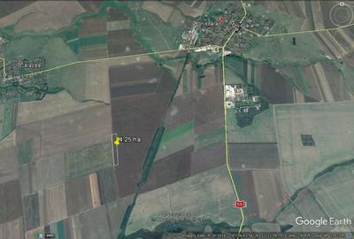 Timisoara Ortisoara-tere agricol  4 hectare comasat - 7