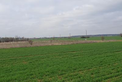 Tâncăbești -Ilfov suprafață 4500 mp - 3