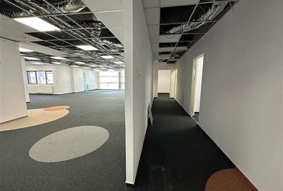 Atlantis Business Center - Birouri Clasa Superioara - 168 mp - 6