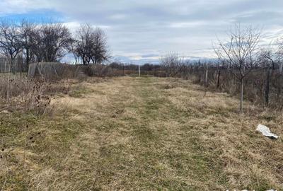 Casa situata in orasul Targu-Carbunesti , Localitatea Floresteni - 7