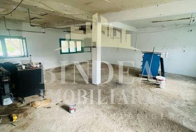 Casa individuala 1542mp teren, garaj- Giarmata - 6