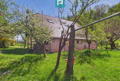Casă Câmpani, 8000 mp teren, la poalele Apusenilor - 20