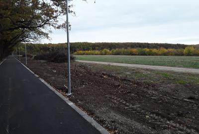 TEREN 570 mp - Calul Balan/LAC/ PADURE/Buftea(loturi)PROPRIETAR - 3