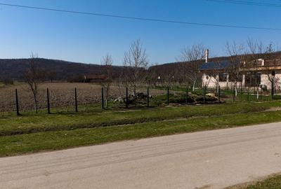 Loc de casă în Odvoș - Conop 3000mp - 6