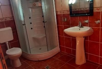 Vilă deosebita aflată intr-o zonă minunată a munțilorApuseni, mobilată,pretabilă - 11