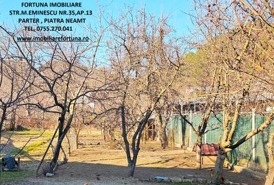 Proprietate Piatra Neamt - Casa P+M, anexa si 1000 mp teren - 17