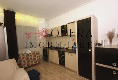 Apartament 1 camera, decomandat , de inchiriat, zona Copou - Sadoveanu - 9