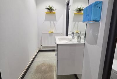 Spațiu ideal pentru afacerea ta – Hală de închiriat zona Brătianu - 12