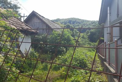 Casa demolabila in Runcu-Badeni - 10