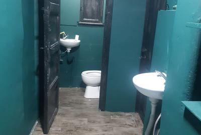 Spatiu comercial / Bdul Regina Maria / Unirii / centrala - 8