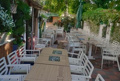 Spatiu comercial Pache Protopopescu stradal - 3