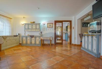 Complex Turistic Panicel, DN73A - 46