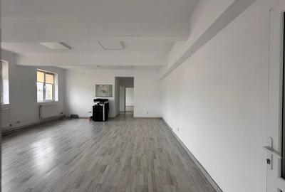 Hale/ spatii de inchiriat in jud. Iasi, Pascani, de la 500mp la 5000mp - 13