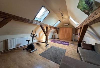 Casă individuală cu 11 camere în Elisabetin