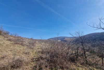 Teren extravilan, 23 400 mp, Cuvin (Ghioroc) - 2