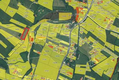 Teren Tohanul Nou 4500mp, in spate Wolf - 15