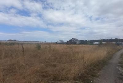 Otopeni-Philip Morris,(zona mixta),1308 mp,50 deschidre X 26 m - 1