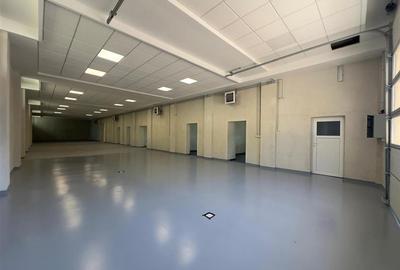 Spatiu Valea Lupului, Antibiotice, multifunctional, 334mp - 7