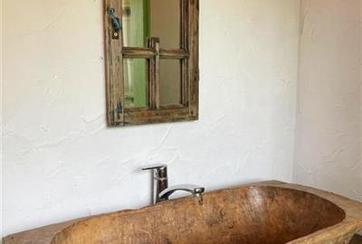 Casa de vanzare in Nufaru - 23