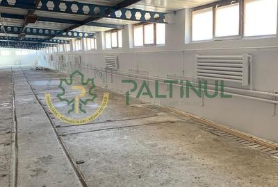 Spațiu industrial, 700 mp în Exterior Vest
