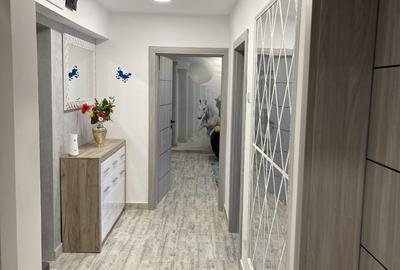 LUX SI PRESTIGIU 2 CAMERE PIATA ALBA IULIA -BLVD BUREBISTA - 4