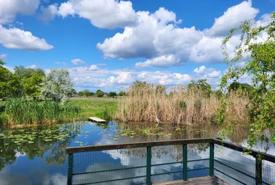 Casă cu 6 camere în Snagov