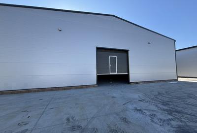 Spațiu industrial, 600 mp în Industriilor