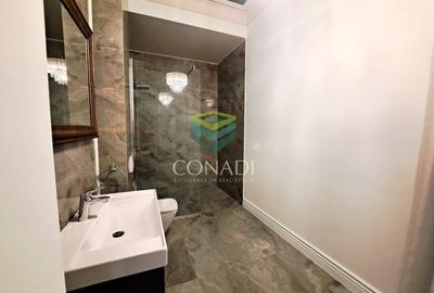 Baneasa-Iancu Nicolae, vila de inchiriat, 424 mp utili - 16