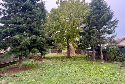 Teren Intravilan | Deschidere Lac Snagov | Ponton | Curatat | Toate utilitatile - 12