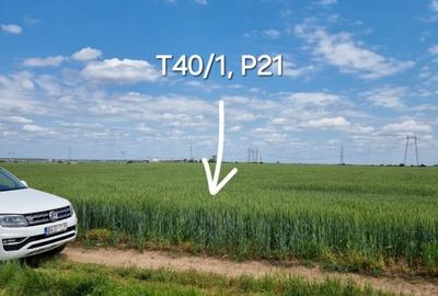 Proprietar, terenuri agricole extravilane, cadastru si intabulare, A0 - 5