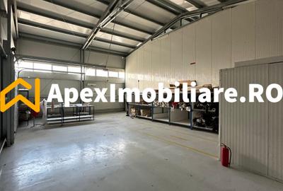 Hala Industrială Malu Rosu Ploiesti 550 mp + Birouri | Parcare 20 | Acces TIR | - 18