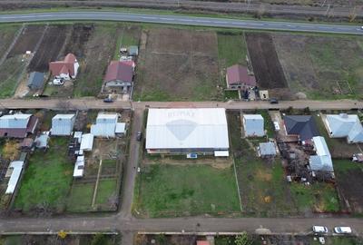 Teren agricol 13,1 ha + Hală 700 mp + Utilaje Agricole - Piscu, Galati - 4