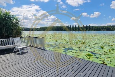 DOM00445 - Vila de poveste la lac cu ponton in Snagov - 15
