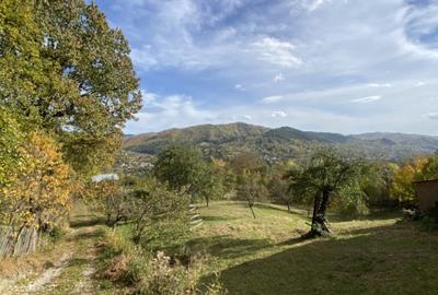 Teren retras panoramic cu panta lina, utilități si copaci mari - 4