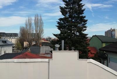 Închir Vila Floreasca 9 camere - 26