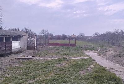 Spațiu comercial versatil, curte proprie și parcare, Biharia - 13
