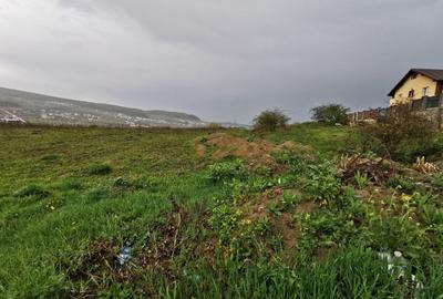 Trei parcele teren intravilan, PUZ, 600 mp, utilitai, Chinteni - 5