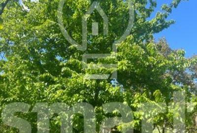 Teren cu autorizatie casa individuala Borhanci - Soporului - 4