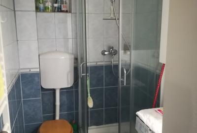Inchiriez ultracentral apt. 3 camere, plus garaj - 9